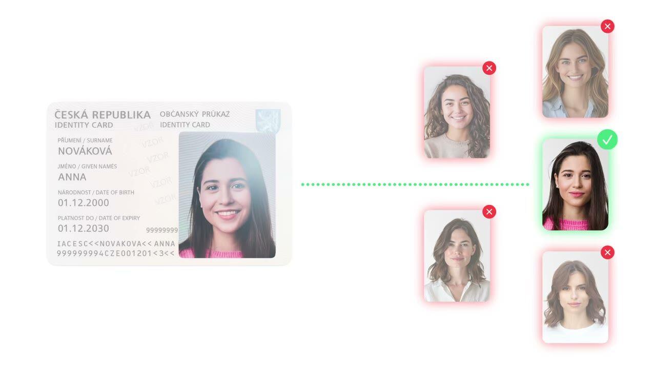 Didit Face Search 1:N, source portrait scanned against a candidate grid.