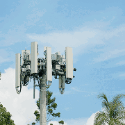 translation_v12.pricing.features.ipAnalysis.title