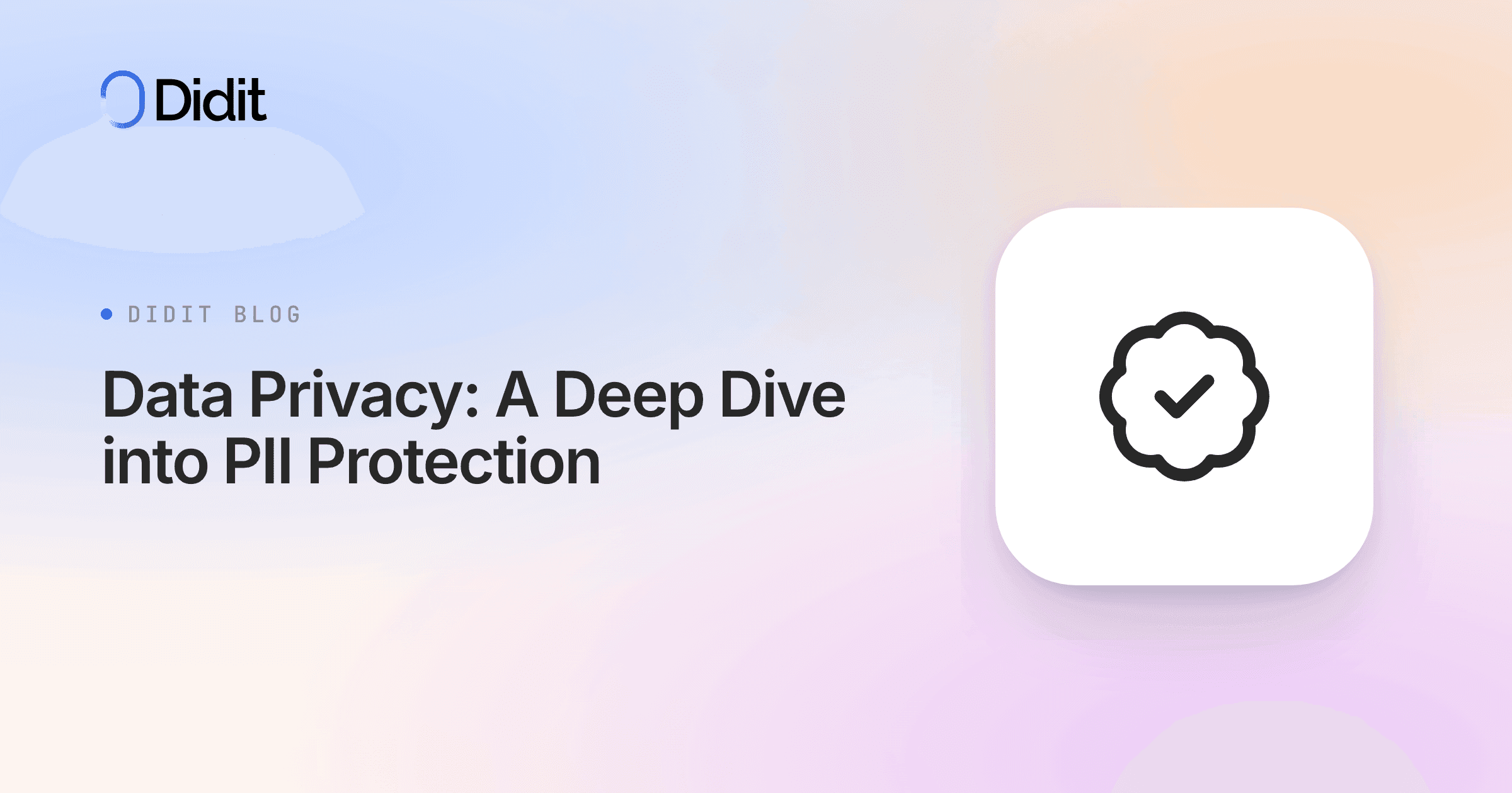 data-privacy-pii-protection.png