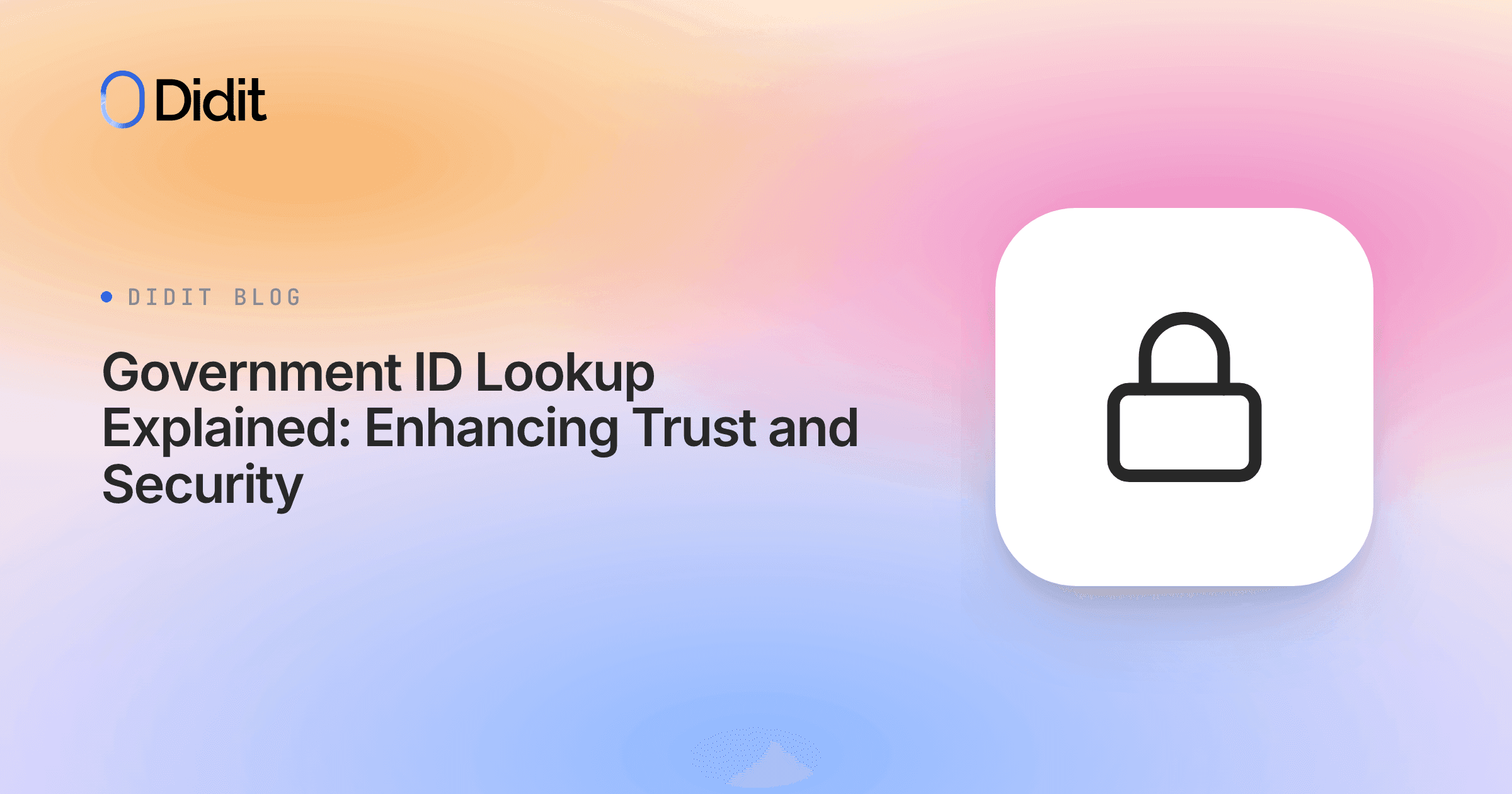 government-id-lookup-explained.png