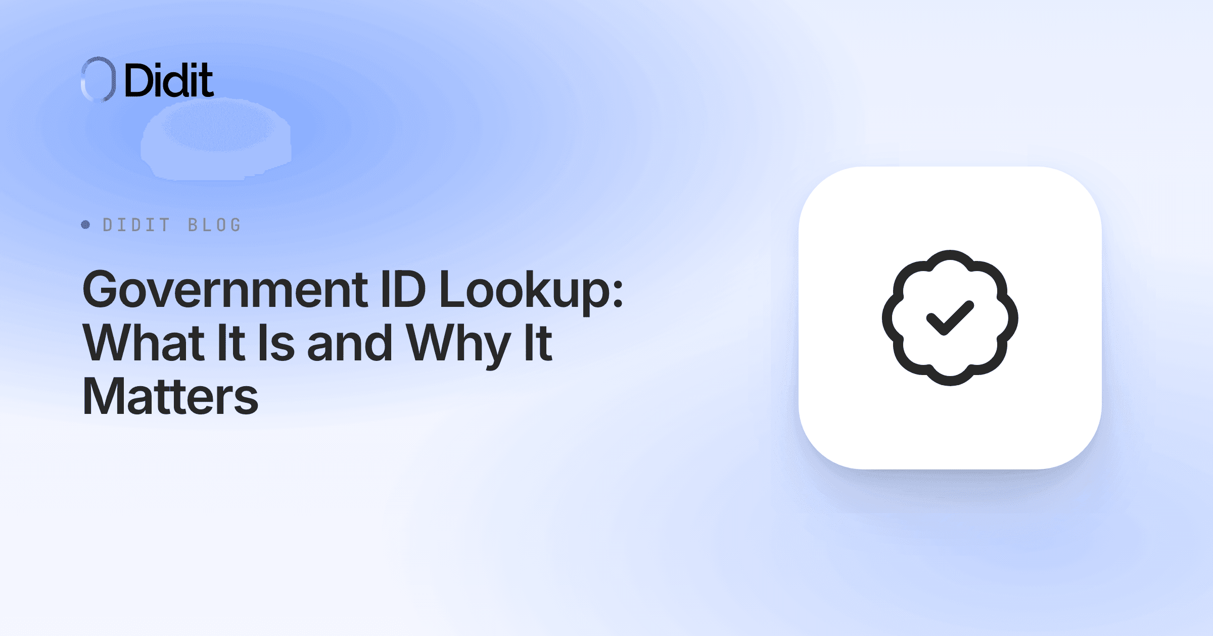 government-id-lookup-what-it-is-and-why-it-matters.png