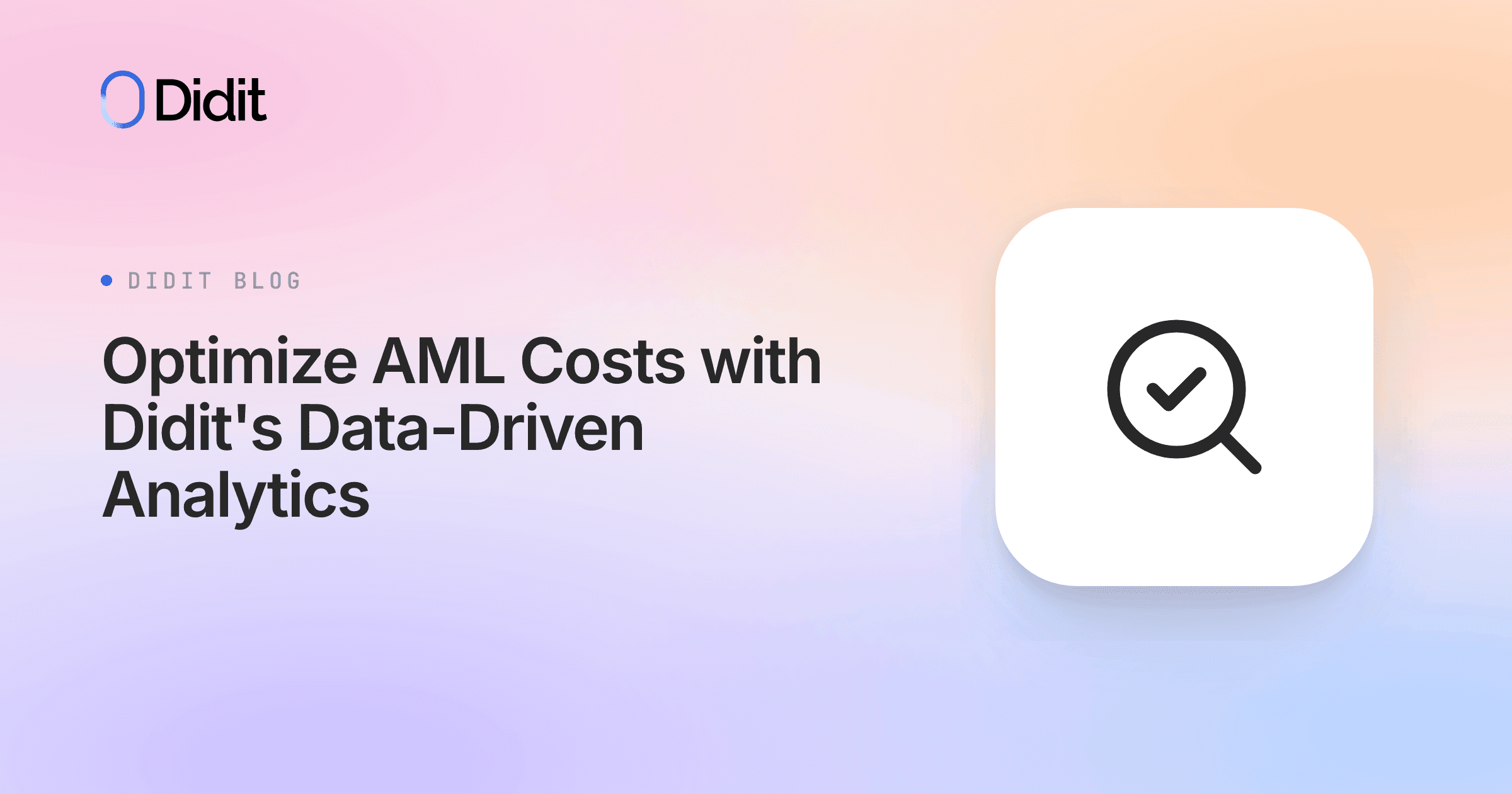 optimize-aml-costs-didit-analytics.png