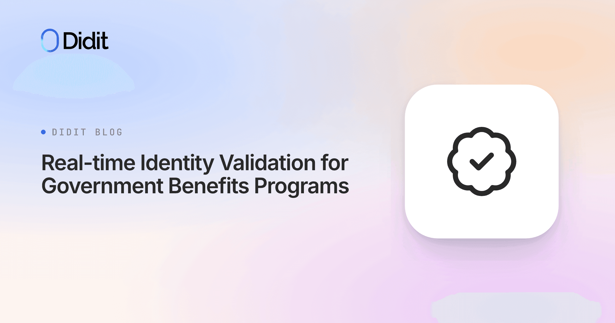 real-time-identity-validation-for-government-benefits-programs.png