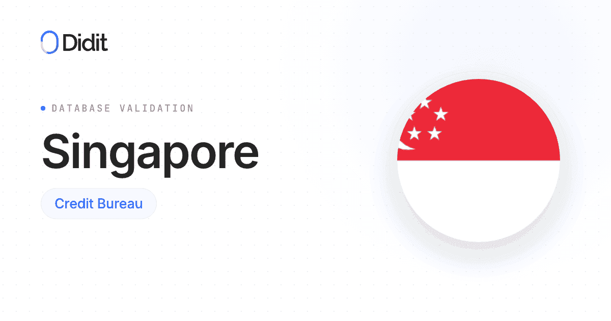 singapore-credit-bureau-database-validation.png