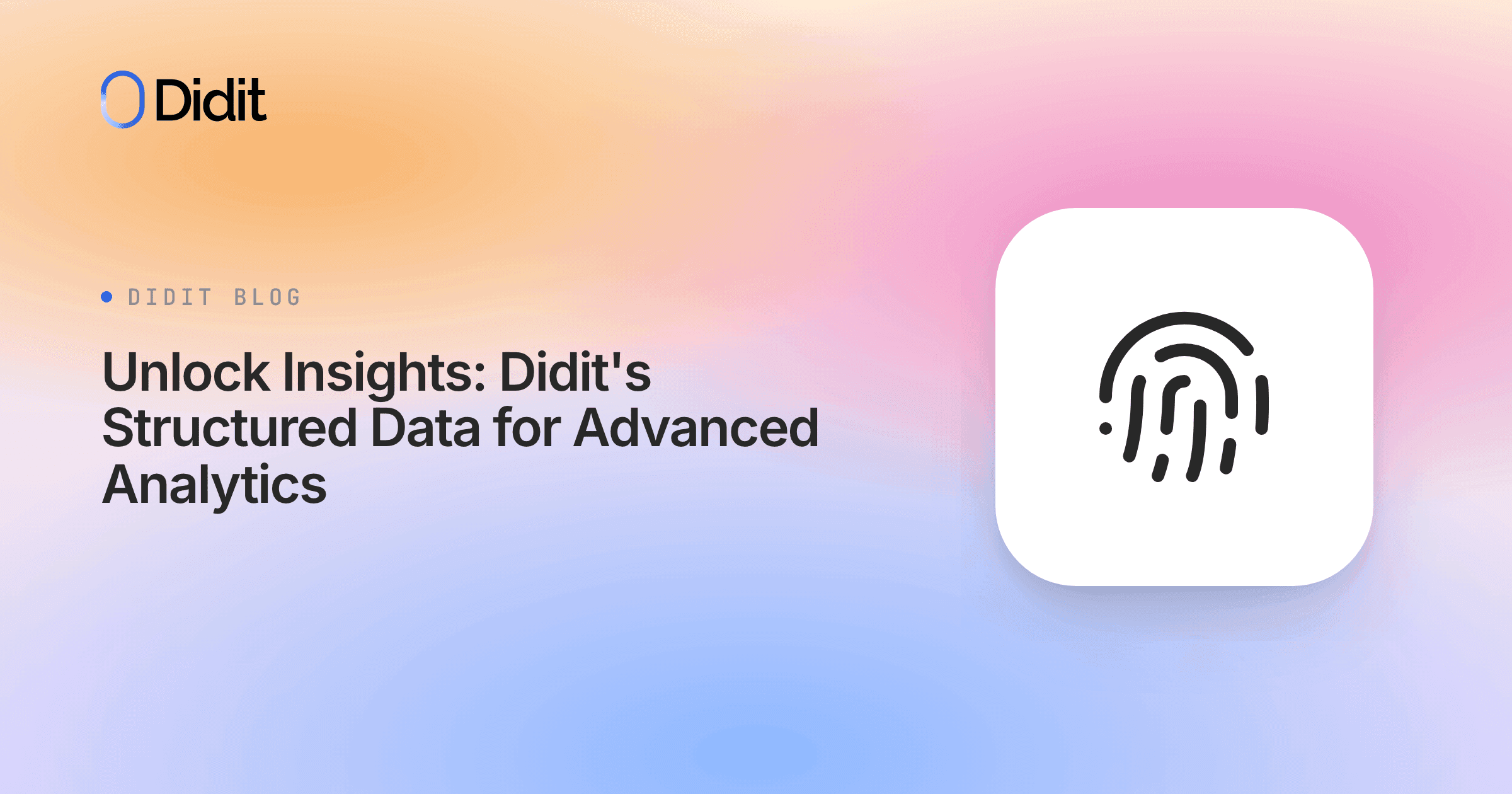 unlock-insights-didits-structured-data-for-advanced-analytics.png